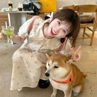 橱窗里的兔子先生